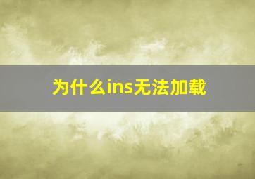 为什么ins无法加载