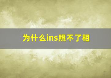 为什么ins照不了相