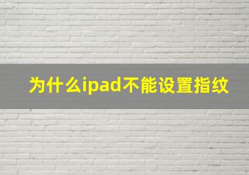 为什么ipad不能设置指纹