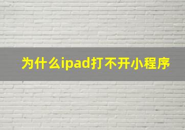 为什么ipad打不开小程序