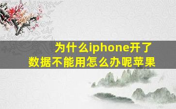 为什么iphone开了数据不能用怎么办呢苹果