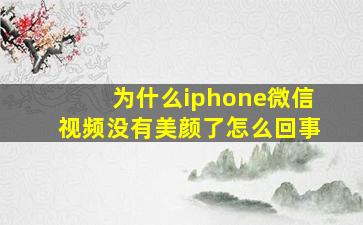 为什么iphone微信视频没有美颜了怎么回事