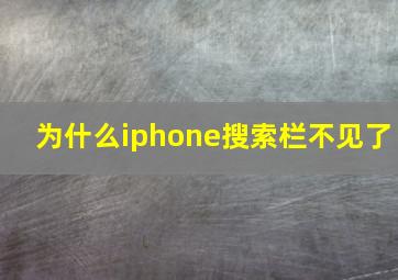 为什么iphone搜索栏不见了