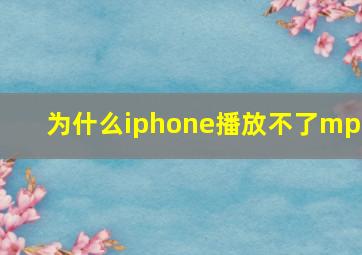 为什么iphone播放不了mp4