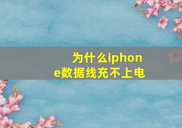 为什么iphone数据线充不上电