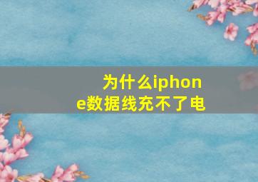 为什么iphone数据线充不了电