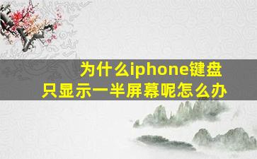 为什么iphone键盘只显示一半屏幕呢怎么办