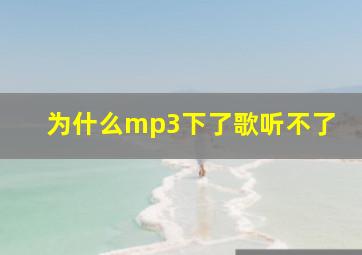 为什么mp3下了歌听不了