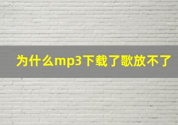 为什么mp3下载了歌放不了