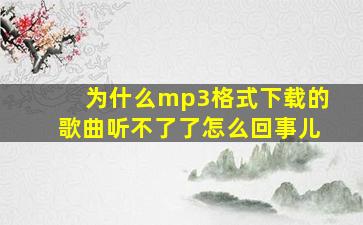 为什么mp3格式下载的歌曲听不了了怎么回事儿