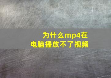 为什么mp4在电脑播放不了视频