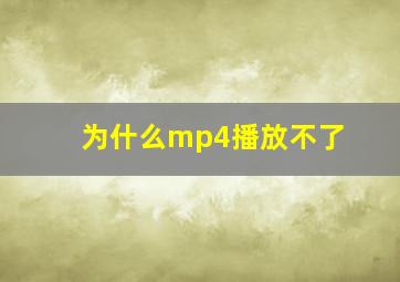 为什么mp4播放不了