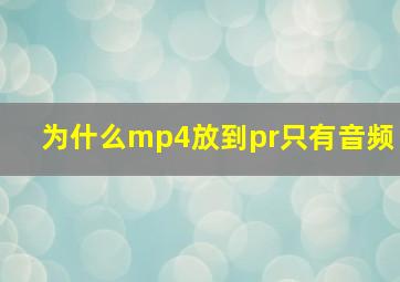 为什么mp4放到pr只有音频