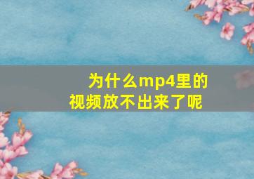 为什么mp4里的视频放不出来了呢