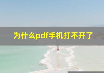 为什么pdf手机打不开了