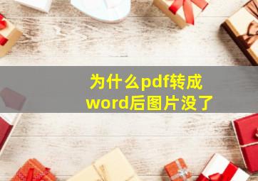 为什么pdf转成word后图片没了