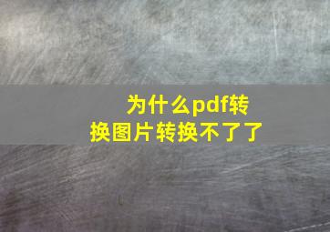 为什么pdf转换图片转换不了了