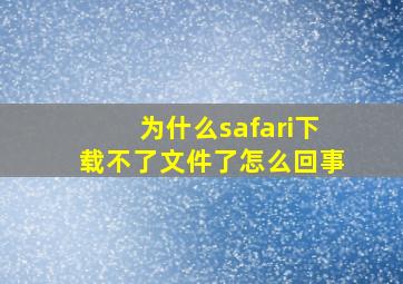 为什么safari下载不了文件了怎么回事