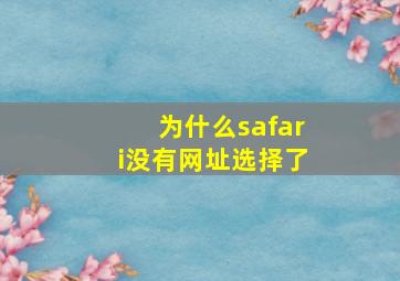 为什么safari没有网址选择了