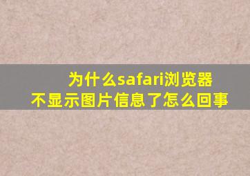 为什么safari浏览器不显示图片信息了怎么回事