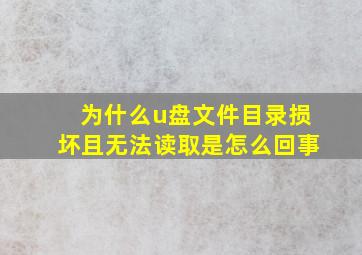 为什么u盘文件目录损坏且无法读取是怎么回事