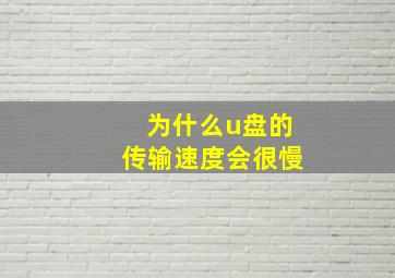 为什么u盘的传输速度会很慢