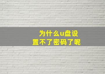 为什么u盘设置不了密码了呢