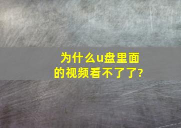 为什么u盘里面的视频看不了了?