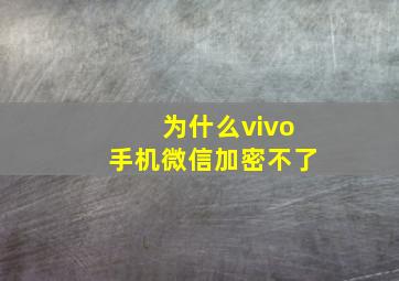 为什么vivo手机微信加密不了