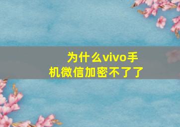 为什么vivo手机微信加密不了了