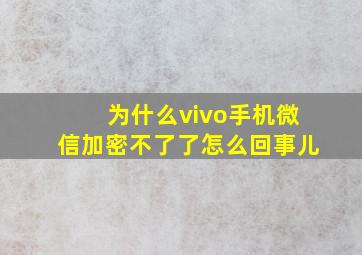 为什么vivo手机微信加密不了了怎么回事儿