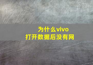 为什么vivo打开数据后没有网