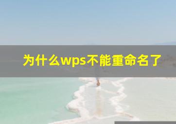 为什么wps不能重命名了