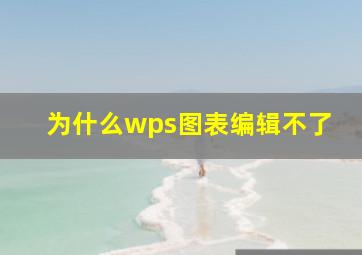 为什么wps图表编辑不了