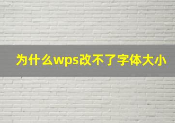 为什么wps改不了字体大小