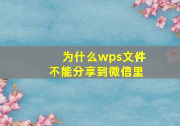 为什么wps文件不能分享到微信里