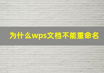 为什么wps文档不能重命名