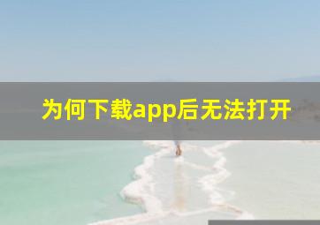 为何下载app后无法打开