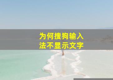 为何搜狗输入法不显示文字