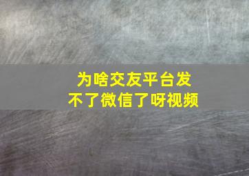 为啥交友平台发不了微信了呀视频