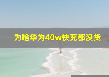 为啥华为40w快充都没货