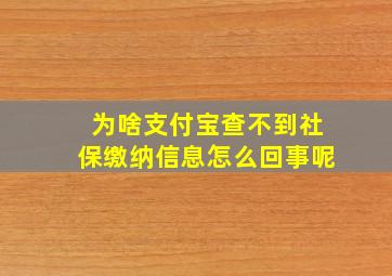 为啥支付宝查不到社保缴纳信息怎么回事呢