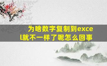 为啥数字复制到excel就不一样了呢怎么回事