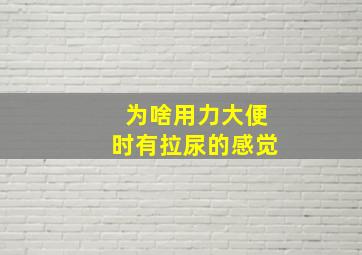 为啥用力大便时有拉尿的感觉