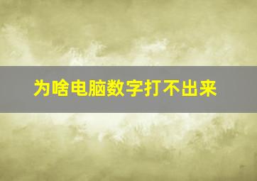 为啥电脑数字打不出来