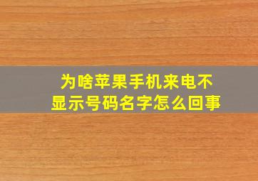 为啥苹果手机来电不显示号码名字怎么回事