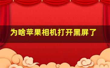 为啥苹果相机打开黑屏了