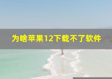 为啥苹果12下载不了软件