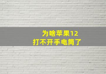 为啥苹果12打不开手电筒了