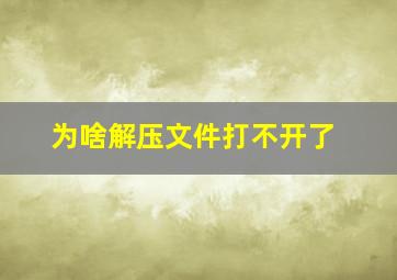 为啥解压文件打不开了